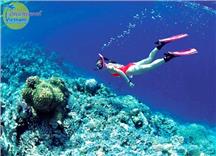 Du lịch Nha Trang Vinpearland 3 ngày 2 đêm giá rẻ